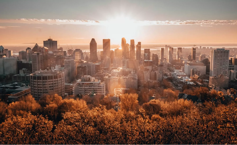 ©️ Michael Descharles